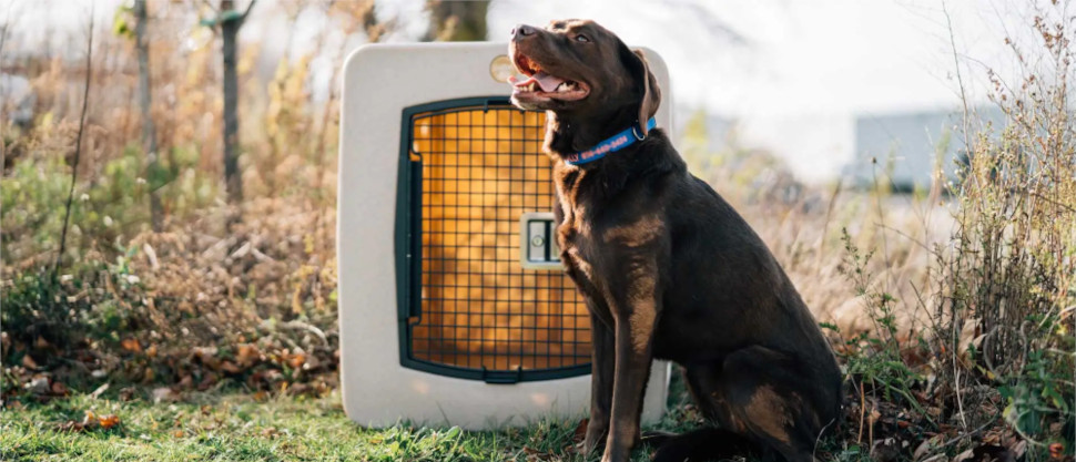 Crates & Kennels